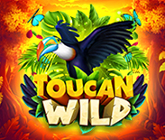 Toucan Wild